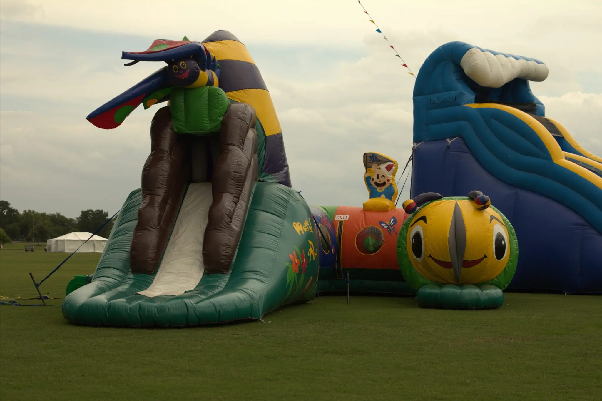 Morphy themed inflatable rental in a Dallas-Fort Worth backyard