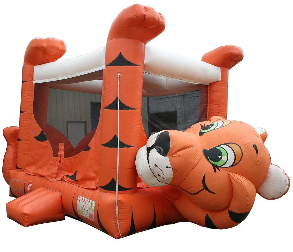 Tiger themed bounce house rental at a DFW Texas birthday party