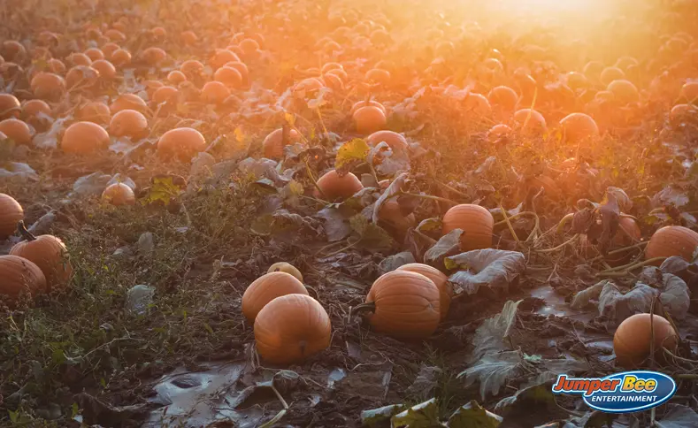 Pumpkin patch photo station setup at a DFW Halloween event