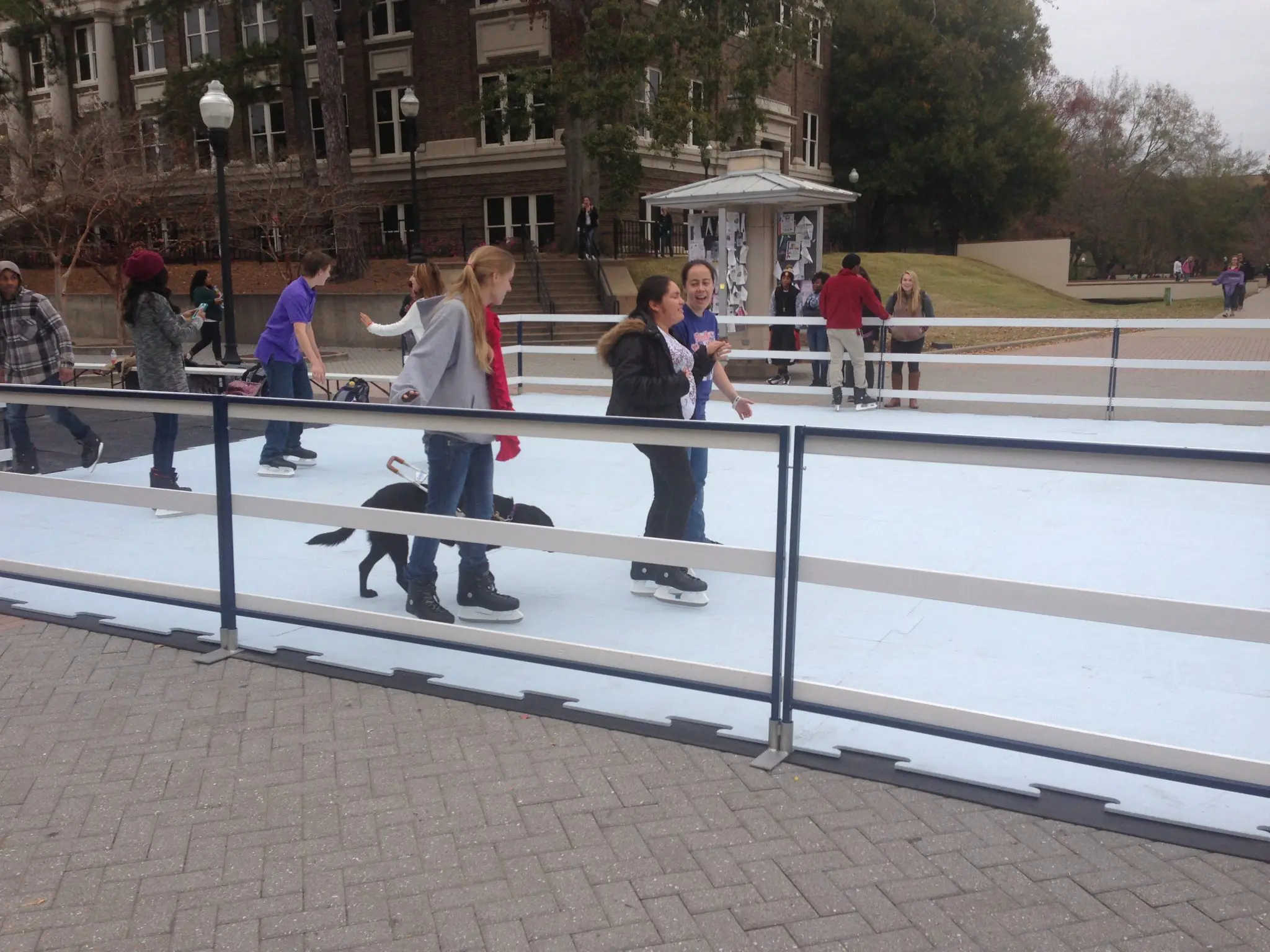 Guests skating on a Jumper Bee synthetic ice rink at a DFW holiday event