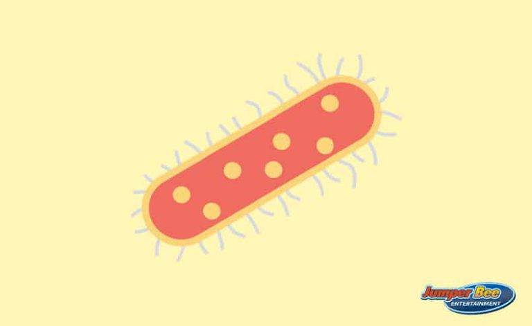 How to Rent a Clean Bounce House to Avoid Germs and Viruses