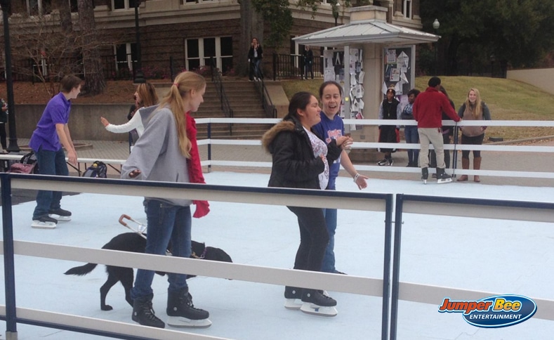 Synthetic Ice Rink