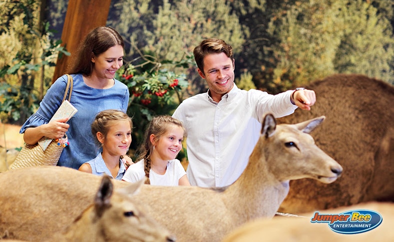 Make Your Party Unforgettable