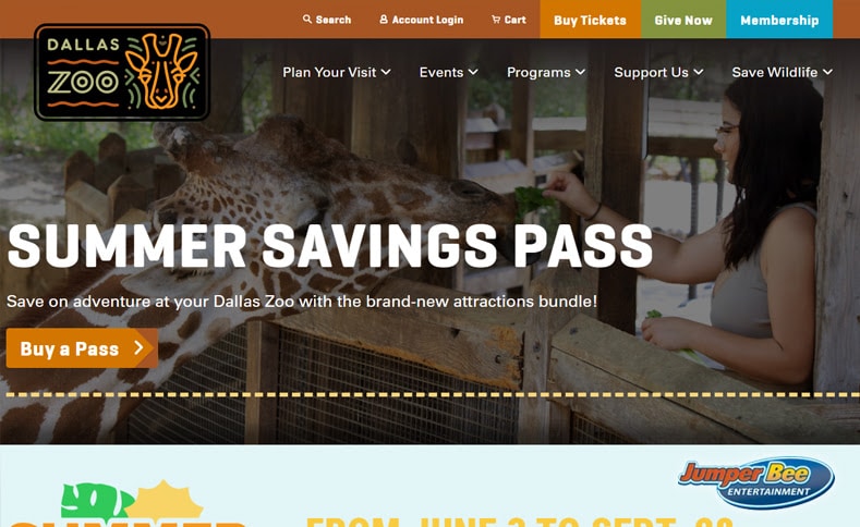 Wildlife Experiences