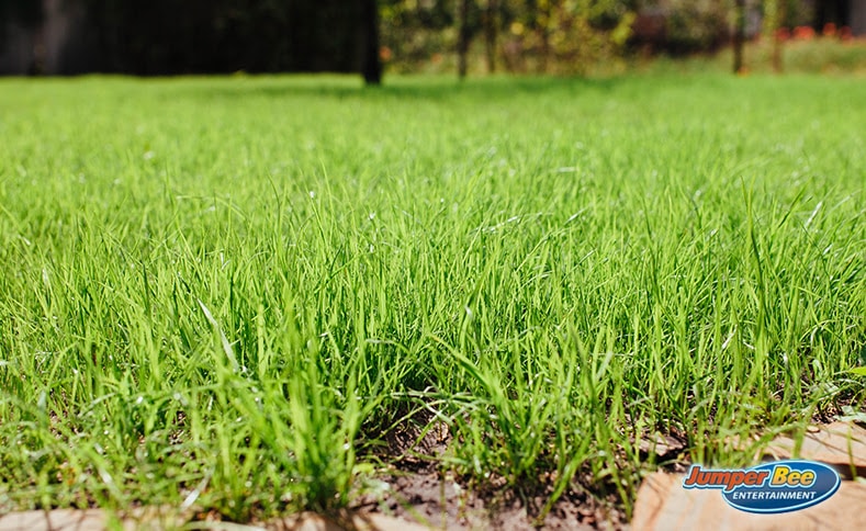 Grass Can Help Keep The Ice Frozen